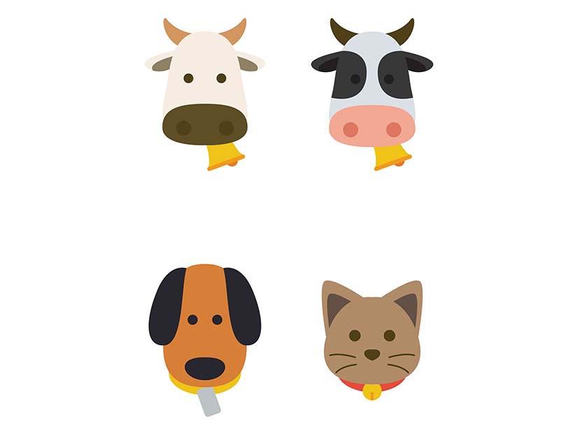 Collection of flat animals vector